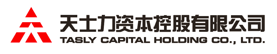 VIPPAY钱包资本控股有限公司